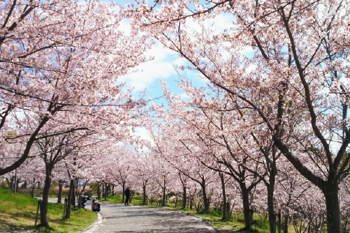 西神中央公園